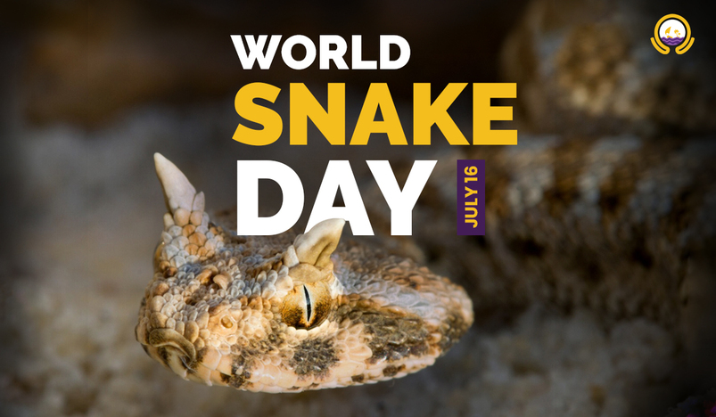 The Snakes Of Qatar World Snake Day
